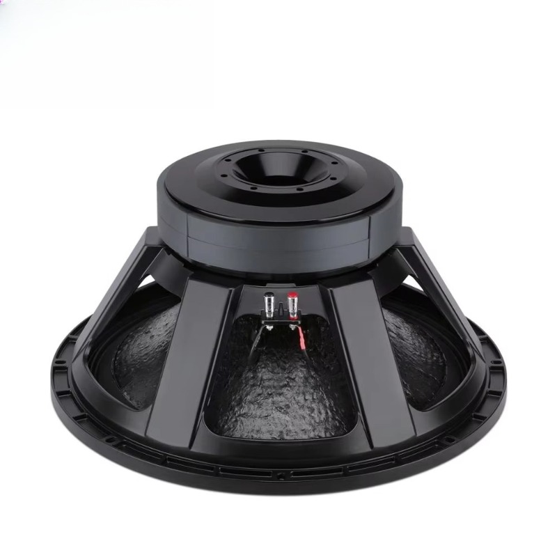 21-дюймовый профессиональный с – обзор и цена Subwoofer
